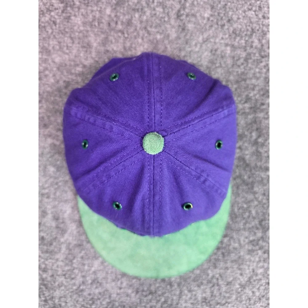 Roots Baseball‎ Cap Mens OS Purple Green Suede Brim Roots Canada Strapback Hat